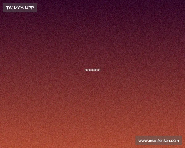 将来猛龙队赛事有哪些